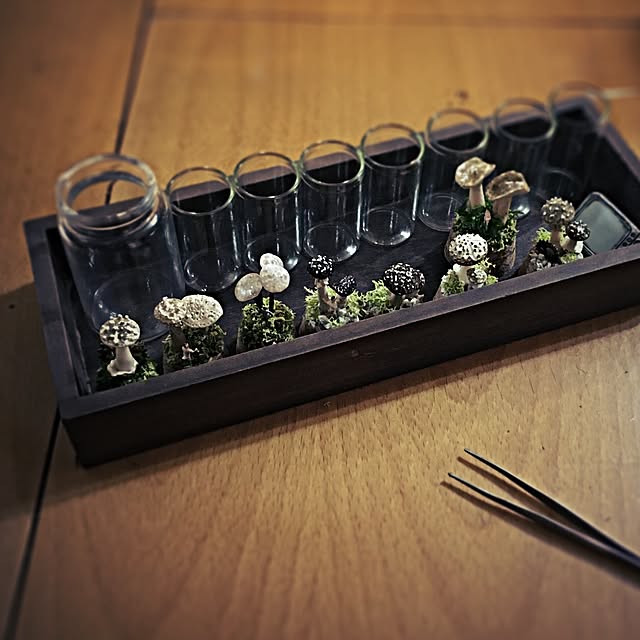 ramuchop3000さんの実例写真