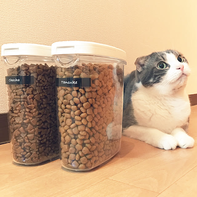 tansukeさんの実例写真