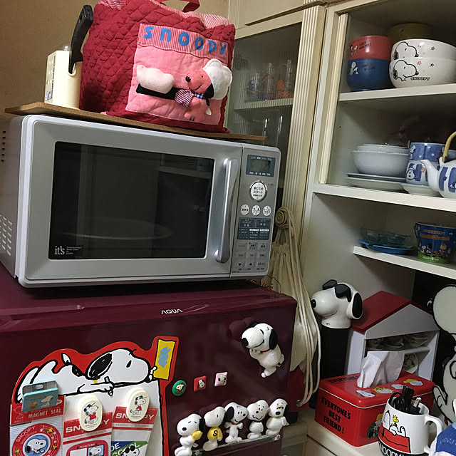 SNOOPYさんの実例写真