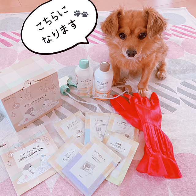 NAONAOさんの実例写真