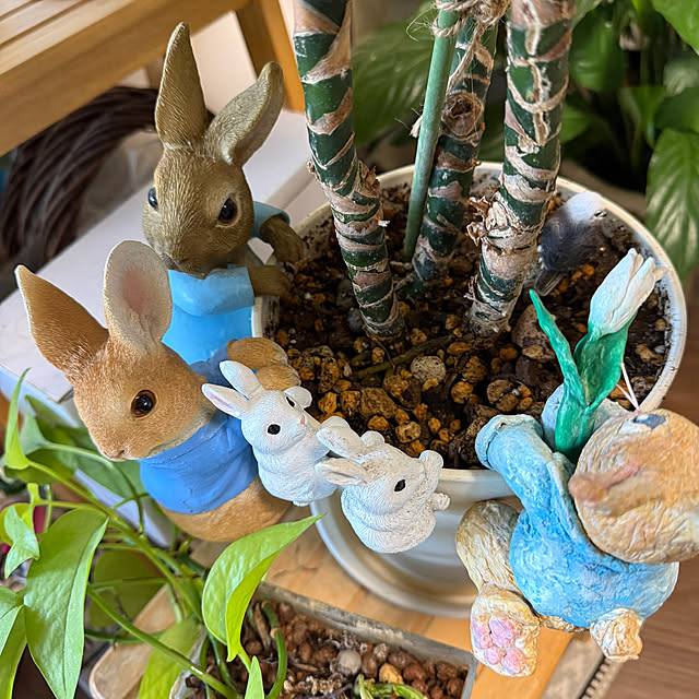 Aqettyさんの部屋