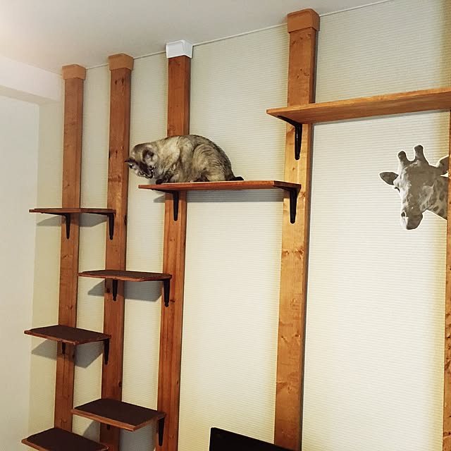 ciiimaiさんの実例写真
