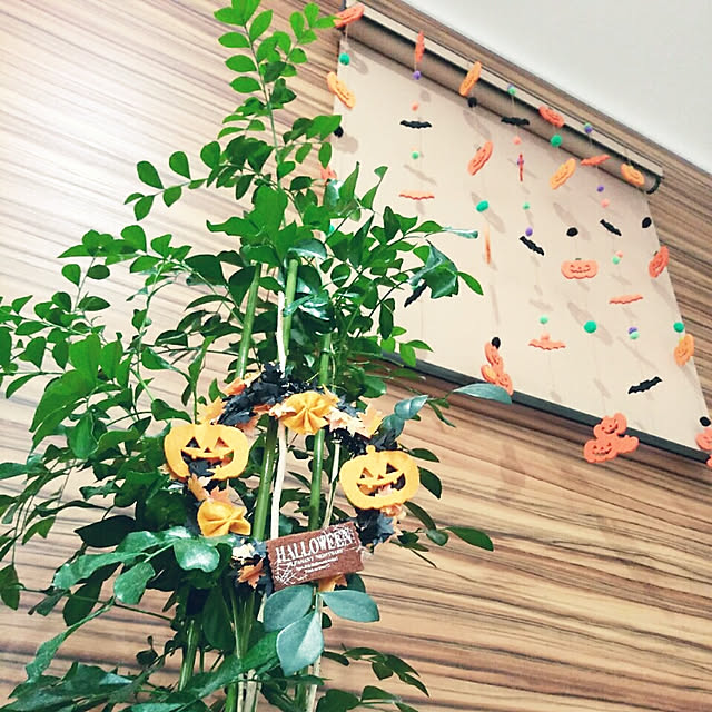 emiさんの実例写真