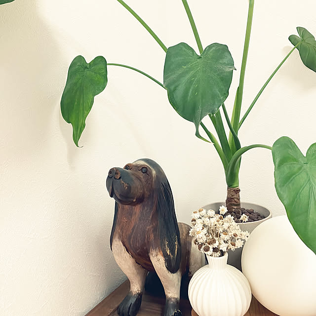 sachicoさんの実例写真