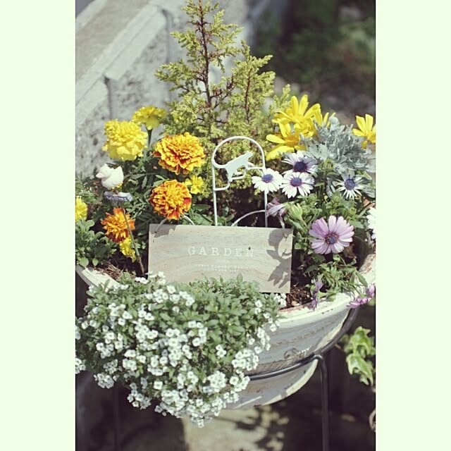 natural_white_さんの実例写真
