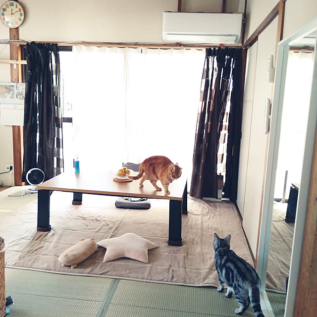 fruityanさんの実例写真