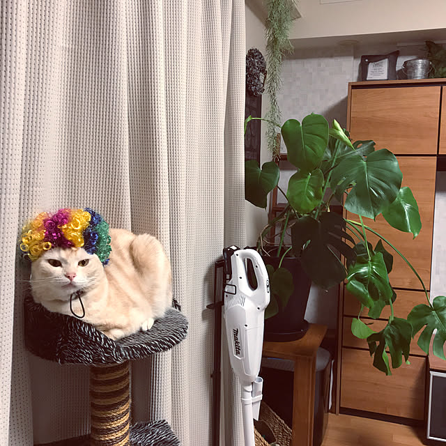 hiyupan88さんの実例写真