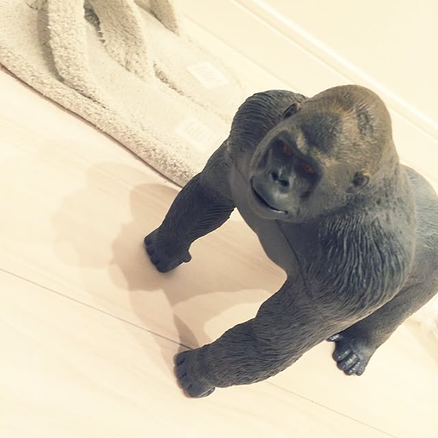 riakanaさんの実例写真