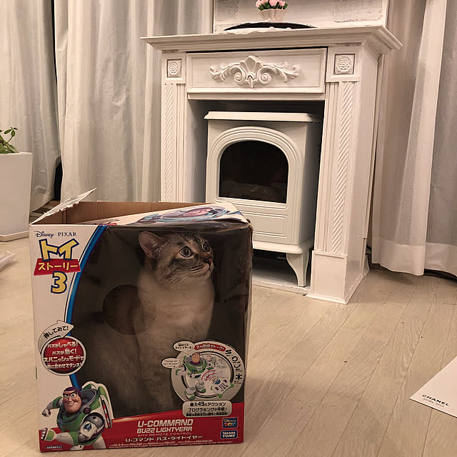 noelさんの実例写真