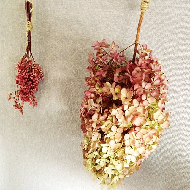 maaさんの実例写真