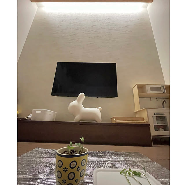 ayyuさんの実例写真