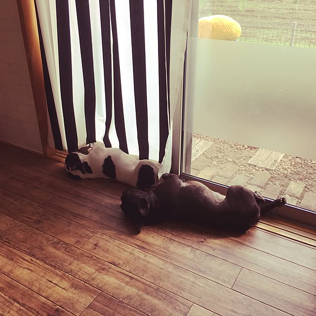 chicoさんの実例写真