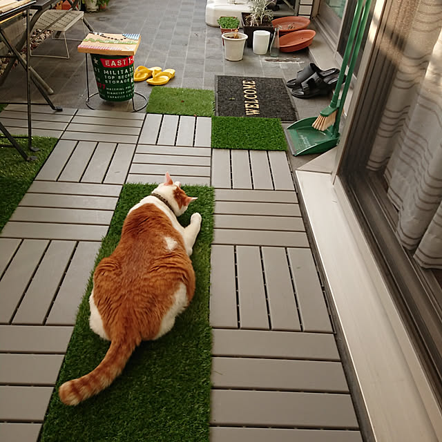 porinさんの実例写真