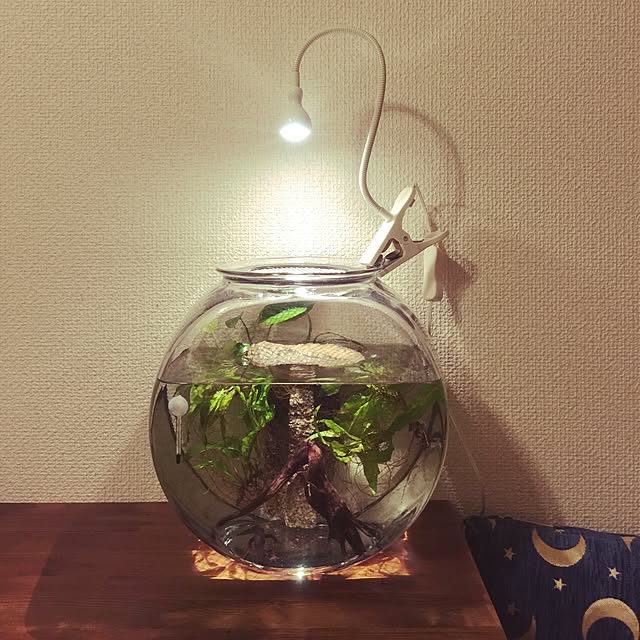 kofuku_kurashiさんの実例写真