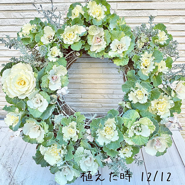 Re_さんの部屋