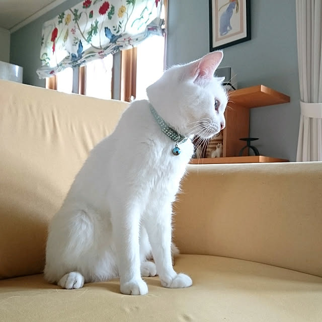 mimiさんの実例写真
