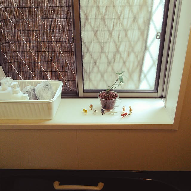 reiさんの実例写真