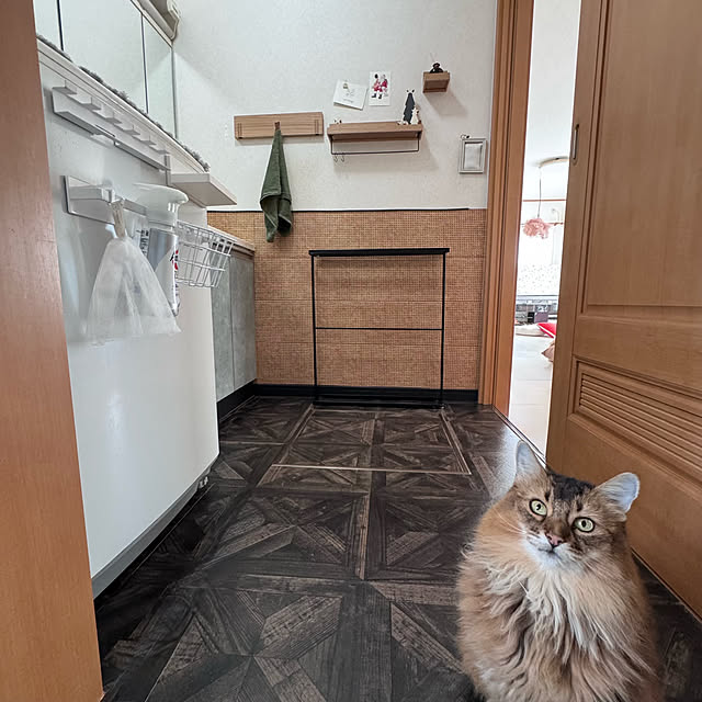 yuri.sさんの部屋