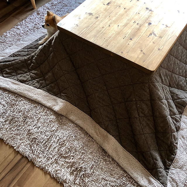 akkyさんの実例写真