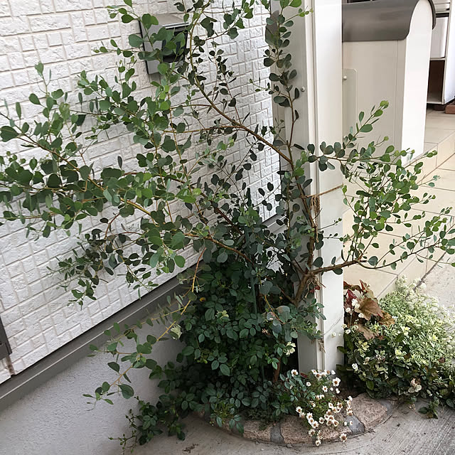 yuyuさんの部屋