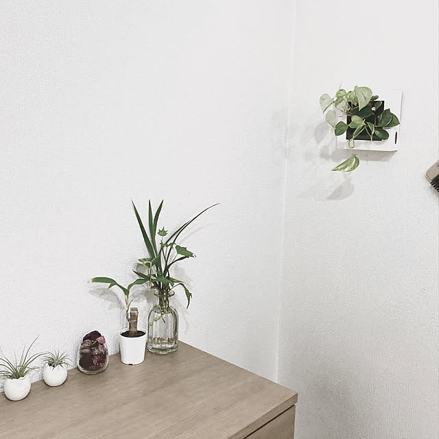 無印良品/雑貨/観葉植物/リビングのインテリア実例 - 2019-11-28 18:23:17