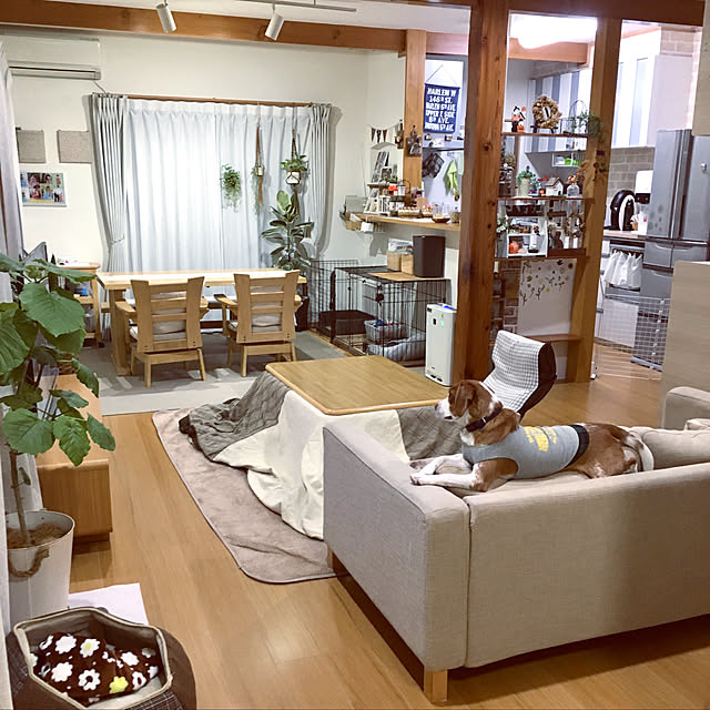 goro_wanさんの実例写真