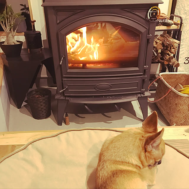 mkjさんの実例写真