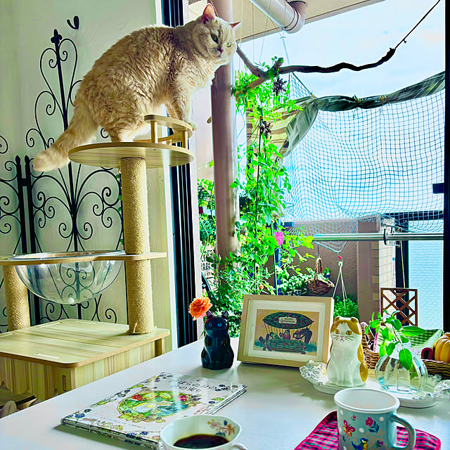 naokoさんの部屋