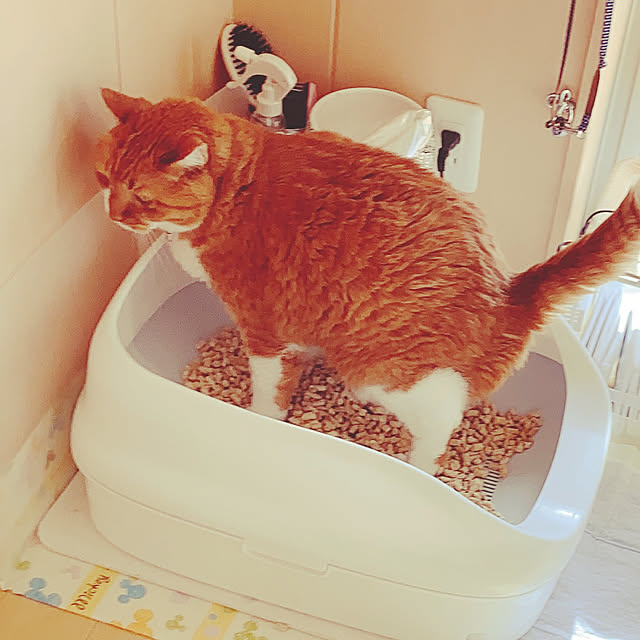 mako1210さんの実例写真