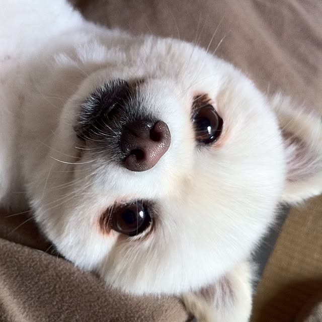 hipaさんの実例写真