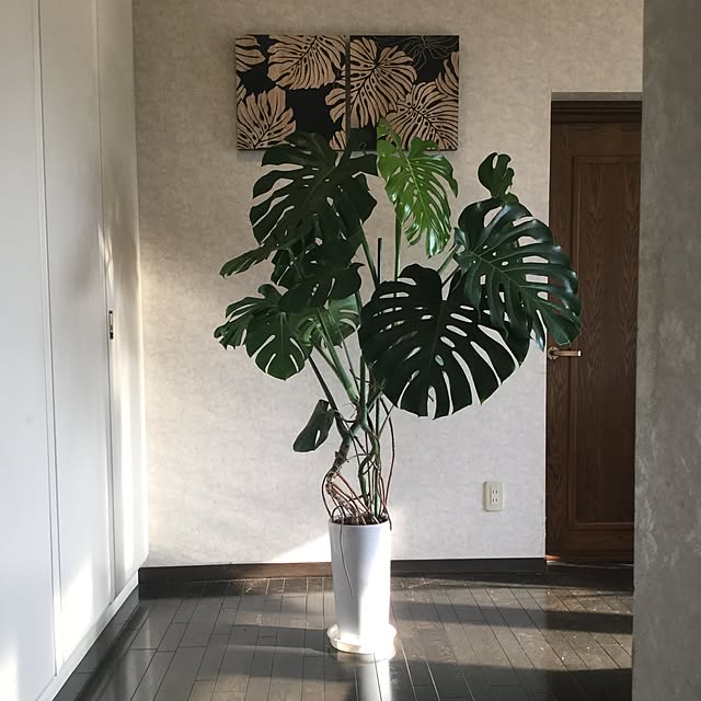 実例写真