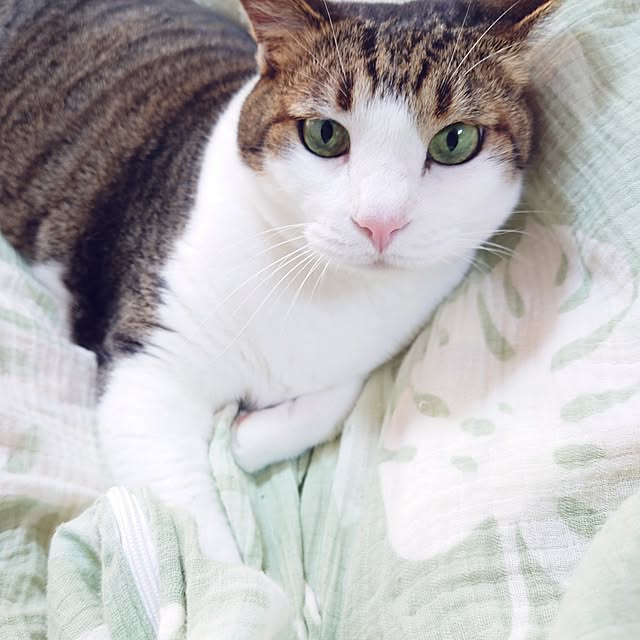 nachiさんの部屋