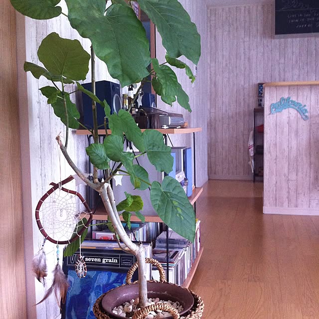 pさんの実例写真