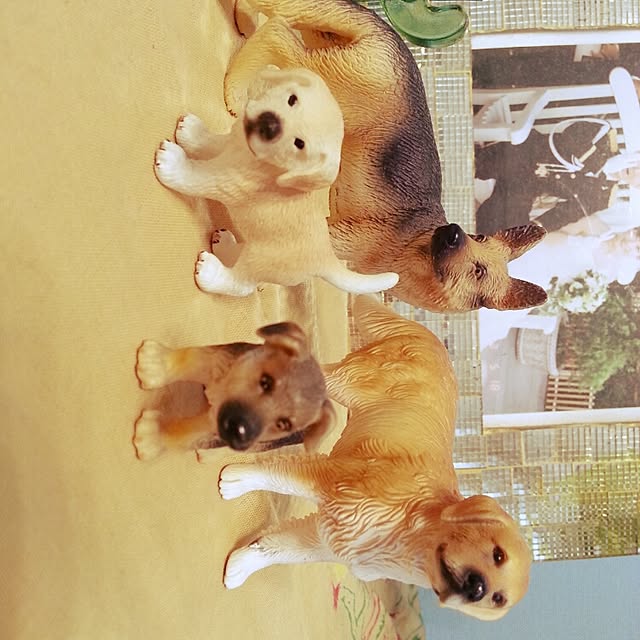 yuhaさんの実例写真