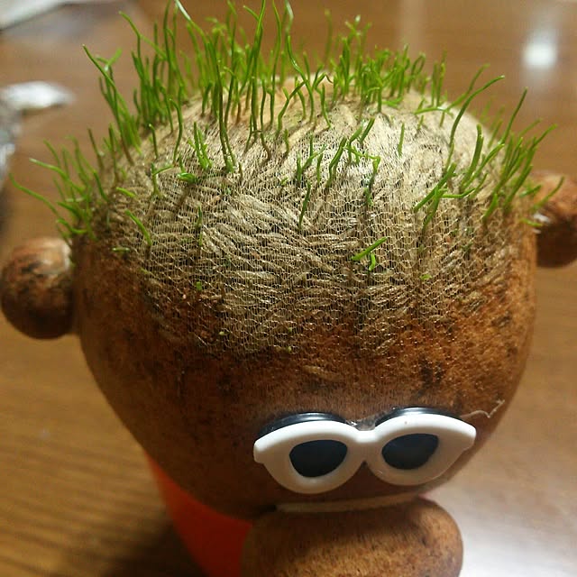 kazuminさんの実例写真