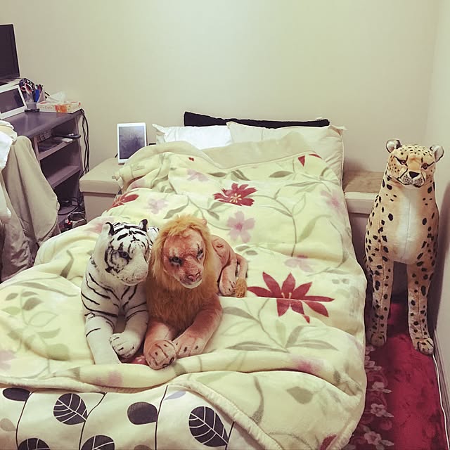 shujanneさんの実例写真