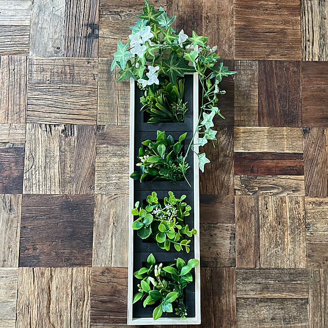 adamoさんの部屋