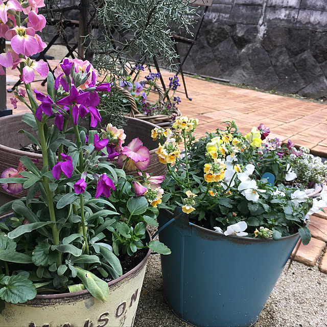 yukiさんの実例写真