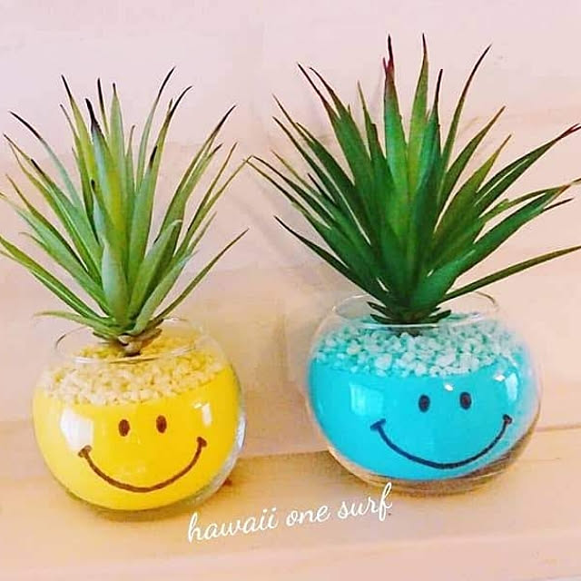 hawaiian_77さんの実例写真