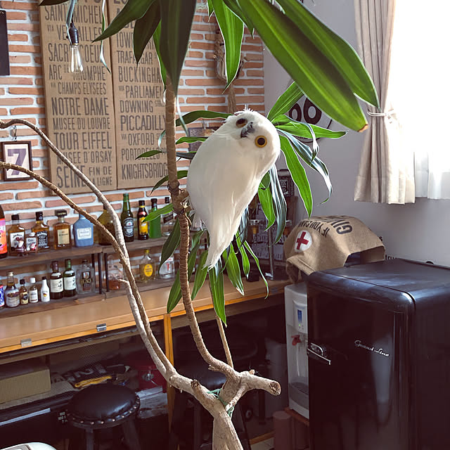 yokkochanさんの実例写真