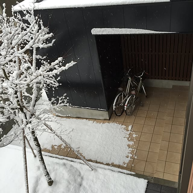 meloさんの実例写真