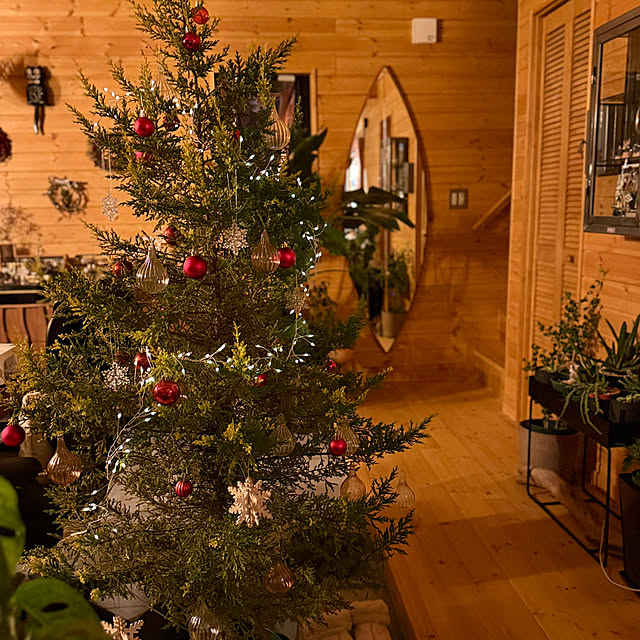 puffloveさんの部屋