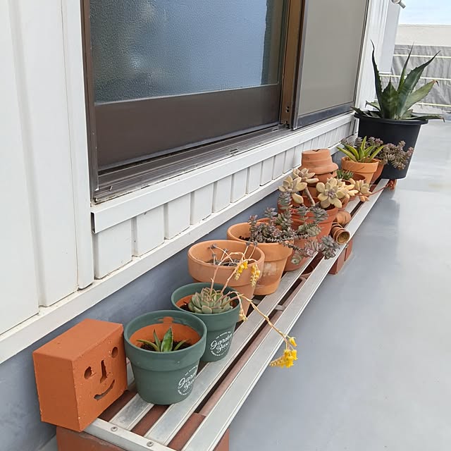 mikeさんの実例写真