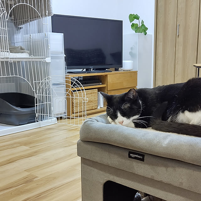 hihaさんの実例写真