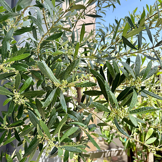 up0524さんの部屋