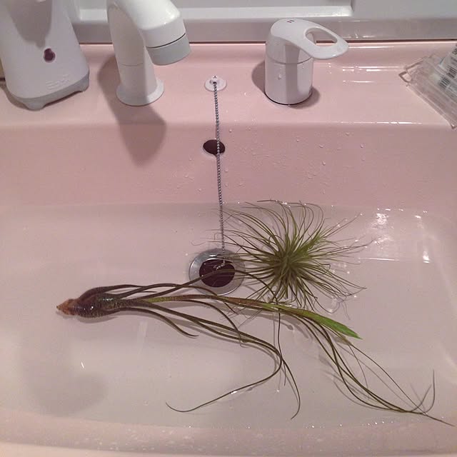 Reiさんの実例写真