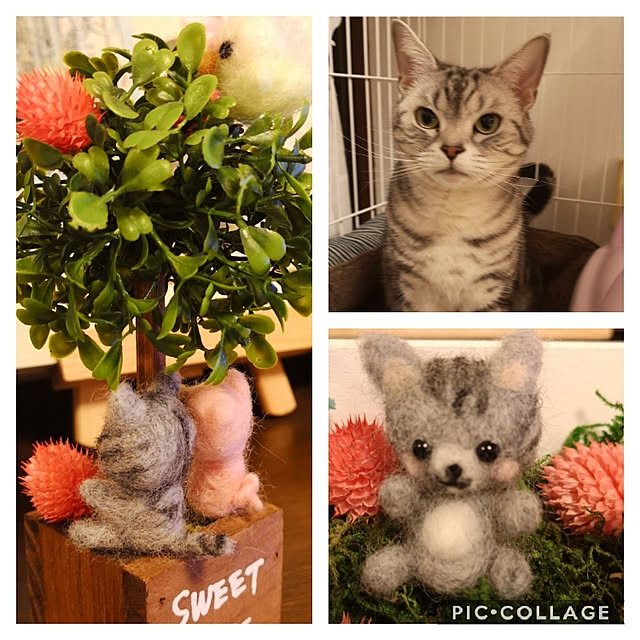kumingさんの実例写真