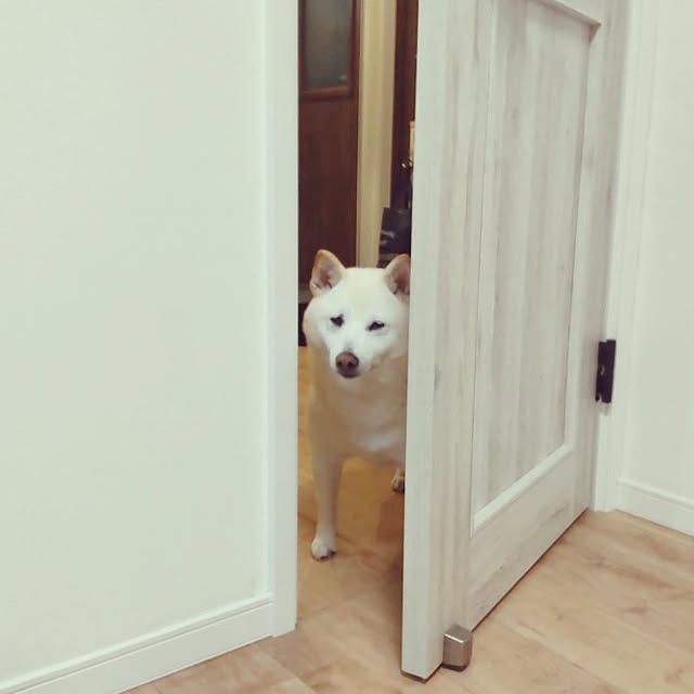 yukinkoさんの実例写真
