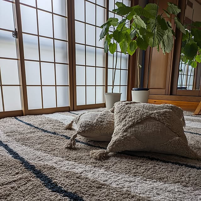 Renさんの実例写真