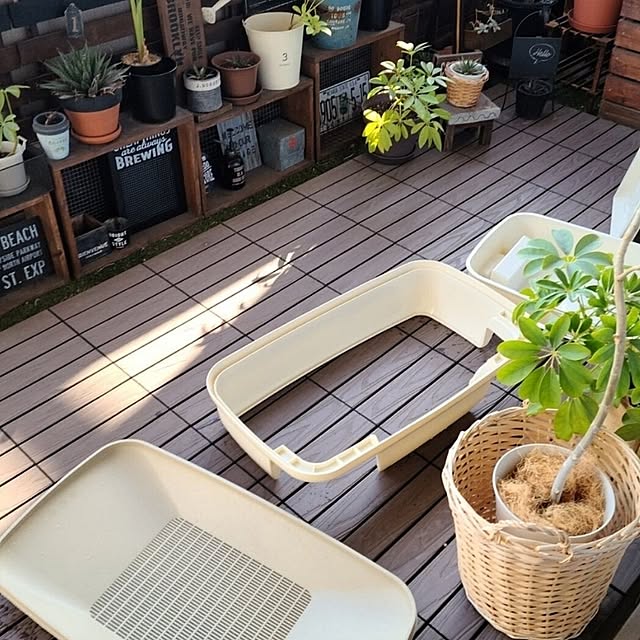 lovepeaceさんの部屋